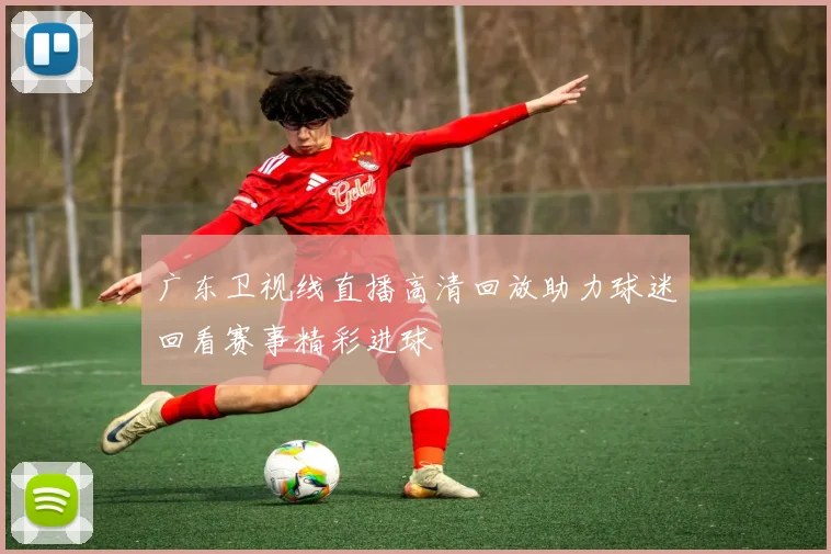 广东卫视线直播高清回放助力球迷回看赛事精彩进球