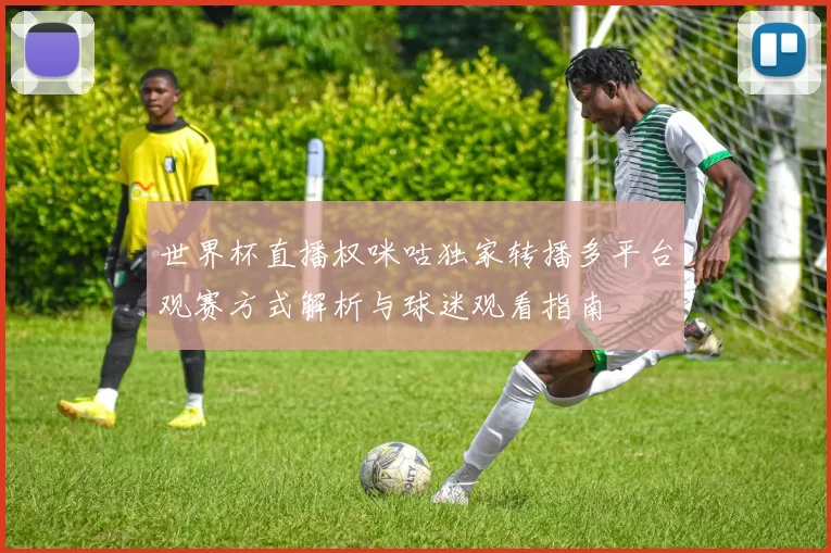 世界杯直播权咪咕独家转播多平台观赛方式解析与球迷观看指南